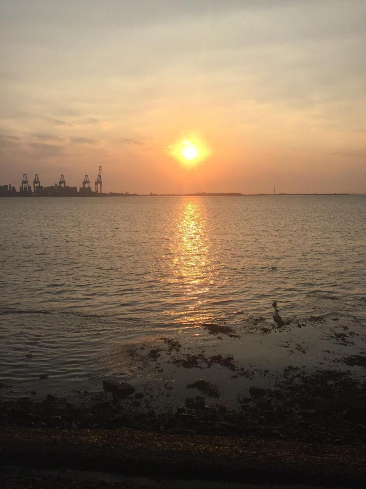Tidal Walk Cottage By The Sea Harwich Ngoại thất bức ảnh